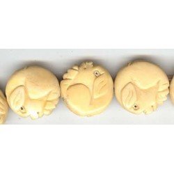 AC17H01-PIG