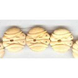 AC17H01-TURTLE